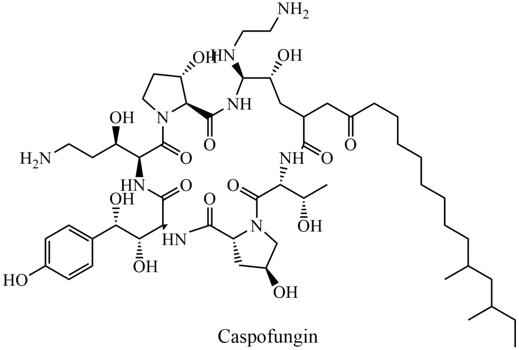 Caspofungin And Fungal Infection 1343